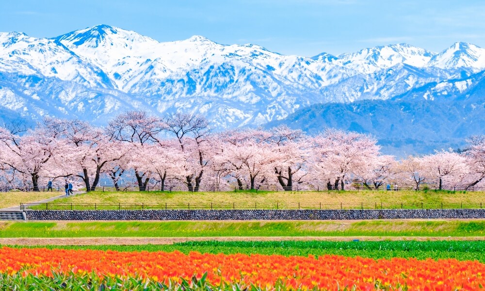 立山連邦 土に親しみ花と緑を愛し人との交わりを楽しむ