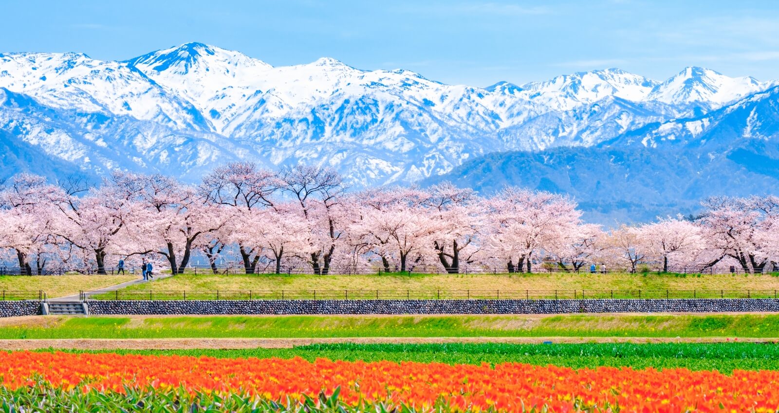 立山連邦 土に親しみ花と緑を愛し人との交わりを楽しむ